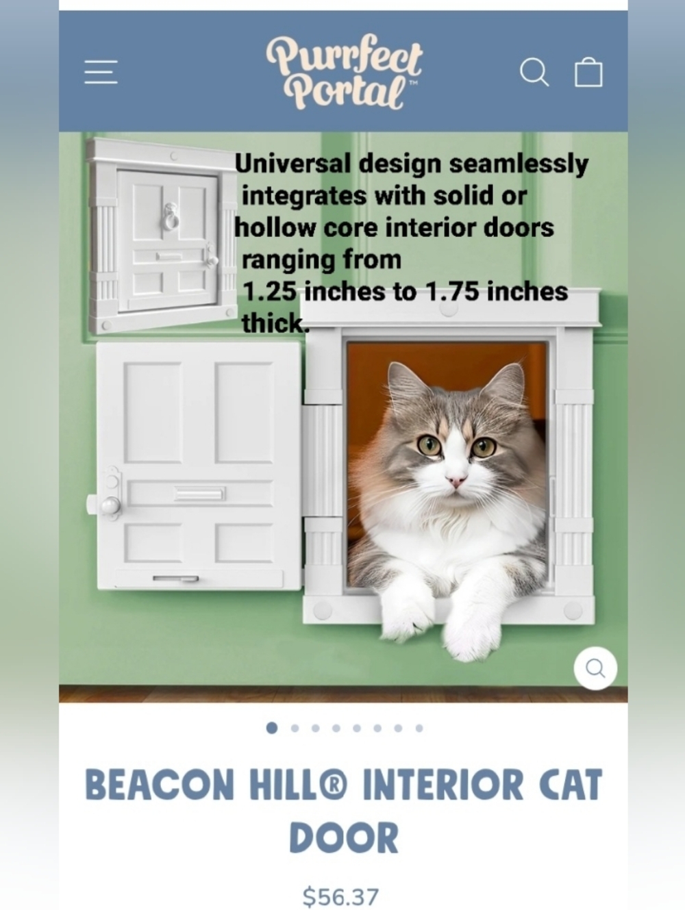 Fancy Pet door For Interiors For DOG or CAT